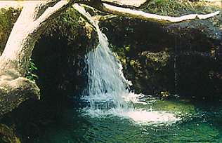 Mirad las fuentes...a veces son cristalinas