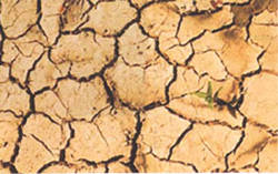 08:45 Entra en verano